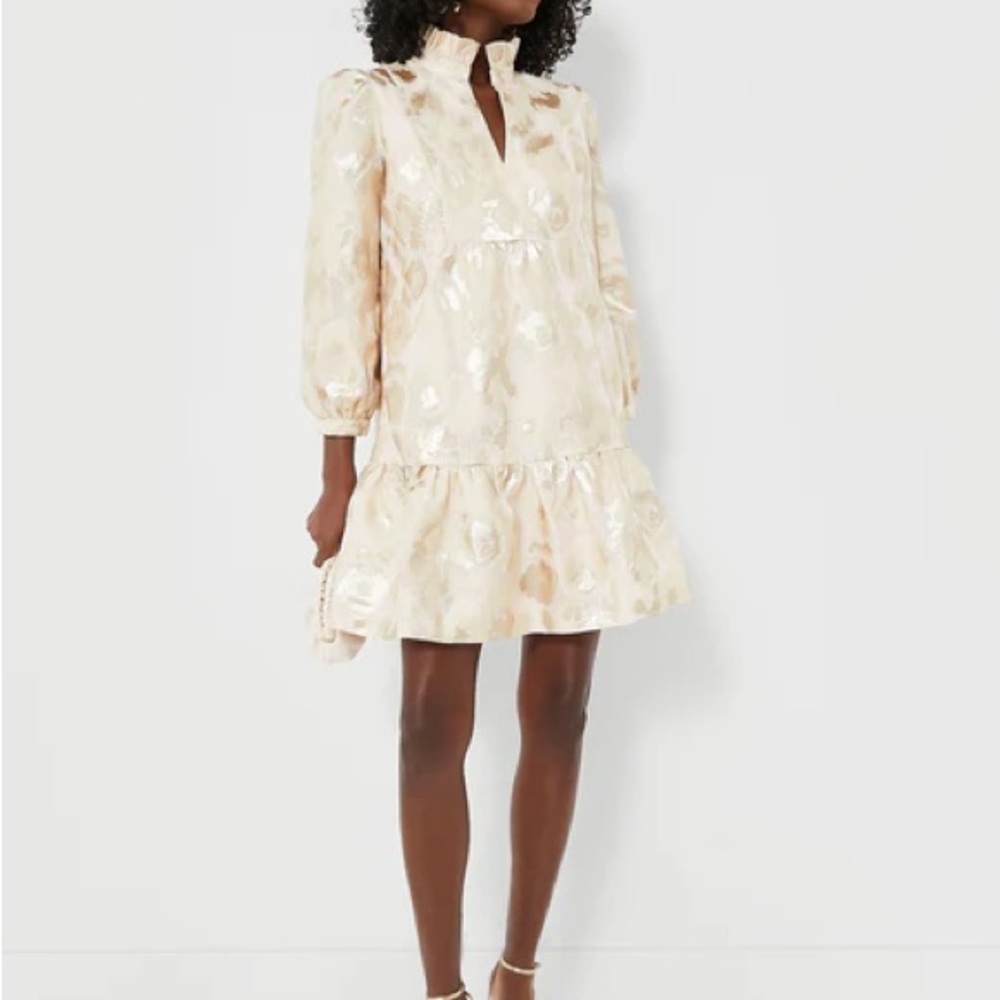 Elegant Cream Floral Dress TuckerNuck Mini Champagne Fil Coupe Palmerston Dress